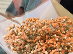 -循礼门鲜花花市(武汉循礼门店)