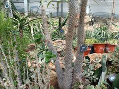 -国家植物园南园