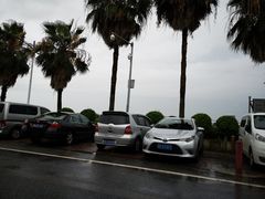 -大湾区中央湿地公园-十九涌
