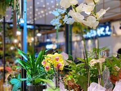 -茶马花街(城西银泰城店)