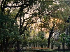 -徐家汇源景区-衡山公园