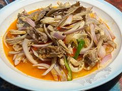 椒麻鸡小份-乡村馕坑肉·烧烤·新疆菜·本地人更爱吃(阿勒泰首店)