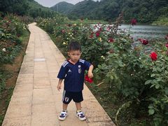 -广州市石门国家森林公园