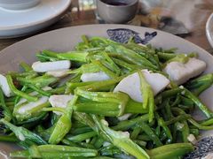 -马帮菜馆·美味野生菌