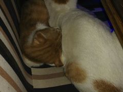 -星宿秘码(鼓浪屿老店)