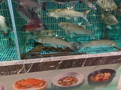 -滋粥楼·顺德菜海鲜茶点(金融城店)