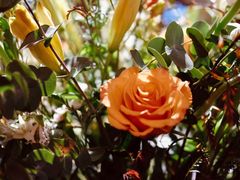 -火车头法国西餐厅