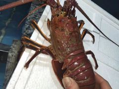 -望海潮海鲜店 特色家常菜(在海一方店)