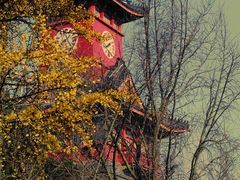 -四川大学(华西校区)