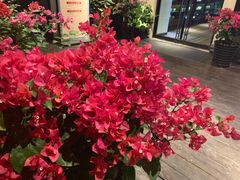 -荷风细雨·中国茶宴(碧云店)