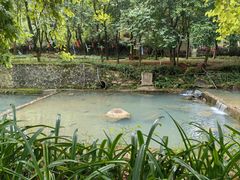 -广州白江湖森林公园