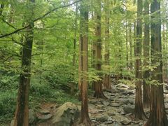 -国家植物园南园