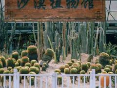 -东南花都花博园