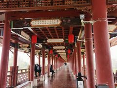 -白鹭洲书院