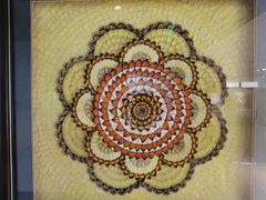 -上海昆虫博物馆