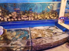 水产区-乔哥铭洋海鲜自助(皇城恒隆广场店)