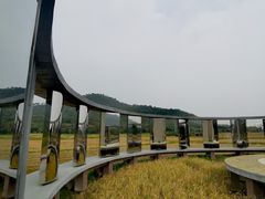 -风云岭森林公园