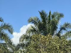 -德宏芒市国际机场