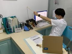 -莘程宠物医院(金山店)