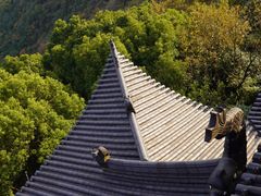 -杭州半山国家森林公园