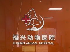 -瑞派福兴宠物医院犬猫全科·骨科·中西医结合(河东店)