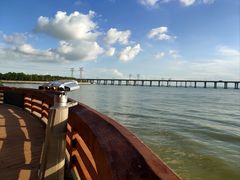 -宝安西湾红树林湿地公园