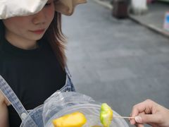 -老炳·七丛松甘草水果