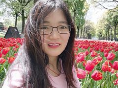 -上海鲜花港