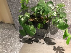 -相思蜜哒(万象天地店)