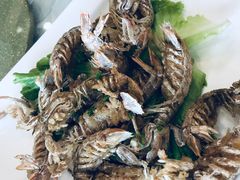 -天桥饭店·特色海鲜(金山嘴渔村店)