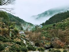 -东白山