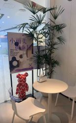 -玛莲朵·海菲秀冰珀科