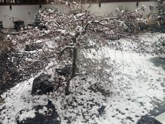 -久宴·天目湖大鱼头(恐龙园店)