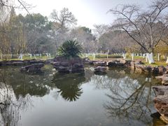 -范蠡湖公园