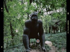 -杭州少年儿童公园