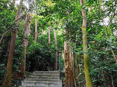 -小南山公园