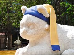 -深圳湾万象城(南山店)