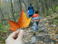 -叠溪松坪沟景区