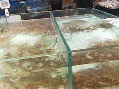 -哈尔信食品超市(哈尔滨王府井购物中心店)