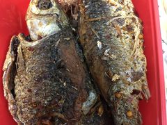 -光头卤(华侨城店)