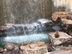 -无锡动物园·太湖欢乐园