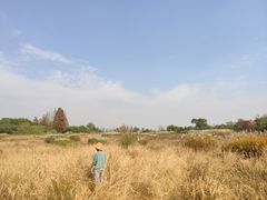 -良渚古城遗址公园