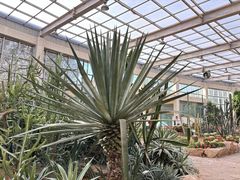 -石家庄市植物园