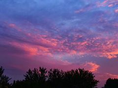 -苹果树下艺术餐厅(通州店)