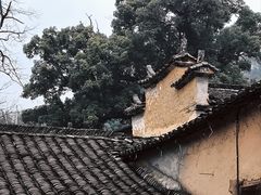 -杨家堂村