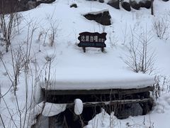 -峡谷浮石林景区