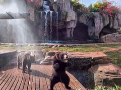 -海南热带野生动植物园