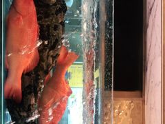 -阿明小菜·海鲜·上海菜(梅陇华理店)