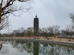 -西海子公园