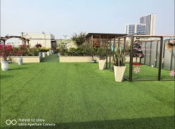 -维倪月子会所(独栋庭院·南海店)